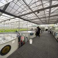 Système commercial d'élevage de poissons RAS, équipement d'aquaculture pour l'éclosion, la nurserie et l'élevage de poissons adultes (tilapia, anguille, truite)