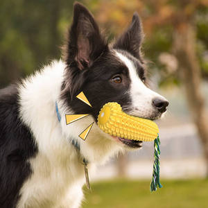 Jouet à mâcher pour chien en TPR robuste non toxique, forme pantoufle classique, corde en coton, jouets interactifs pour soulager l'ennui et l'entraînement des chiens agressifs - Product Image 1
