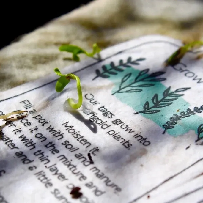 Plant Wildflower 100% Etiqueta colgante de papel de semilla hecha a mano con tarjeta botánica Papel de semilla de flor