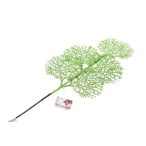 BRANCHES AVEC FEUILLES DE CORAIL VERTES PAILLETTÉES H 71CM - Product Image 1