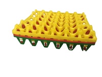 Boîte de rangement pour œufs en plastique JOIN, ventilée, pliable, pliable, bac de rangement pour œufs