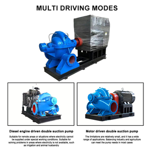 Horizontal Single Stage High Head Irrigation Industrial Water <b>Pump</b> Centrifugal Mid Center Double <b>Suction</b> Cast Iron Double Suctio - Product Image 6