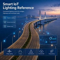 Pencahayaan Pintar Jalan Raya dan Terowongan yang Tangguh dengan Analisis Kebocoran, CCT Adaptif, Radar-Video & Kontrol Keamanan Offline