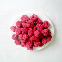 Gedroogd gevriesdroogd fruit