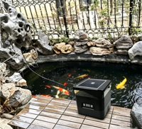 Distributeur de nourriture pour poissons d'étang à énergie solaire, grande capacité, étanche