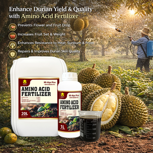 Fertilizante de Aminoácidos <span class=keywords><strong>para</strong></span> Cultivos de Cereales, Fertilizante Líquido Orgánico <span class=keywords><strong>para</strong></span> Trigo, Maíz, Arroz y Vegetales - Product Image 6