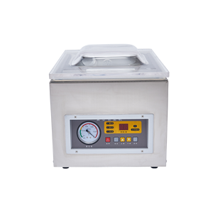 DZ-260A Best Price Small Desktop Vacuum Sealing Machine Food Vacuum Packing Machine - Product Image 2