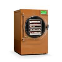 Déshydrateur alimentaire domestique professionnel Enbiens, machine de lyophilisation compacte à 5 couches, 380V, garantie de 3 mois, haute performance