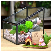Terrarium géométrique en verre noir pour plantes succulentes, fougères, plantes aériennes, mini-jardin féerique, cadeau