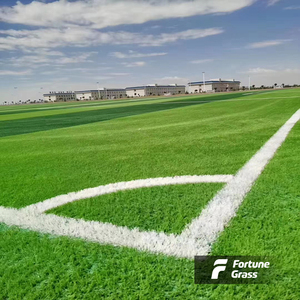 Bán Sỉ Cỏ Nhân Tạo Tổng Hợp Cỏ Nhân Tạo Số Lượng Lớn Cho Sân Bóng Đá Sân Bóng Đá Futsal Bán Cỏ Nhân Tạo - Product Image 5
