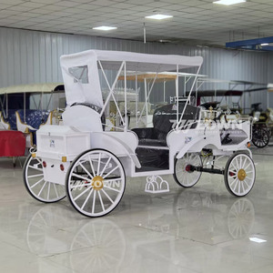 Calèche électrique personnalisée pour événements spéciaux, limousine de tourisme, calèche vintage blanche - Product Image 5