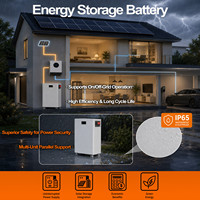 Meilleur Prix Batterie LiFePO4 16,07 kWh 51,2 V 8000 W de charge IP65 CAN Stockage Solaire Hybride pour Réseau Domestique et Station de Base Télécom