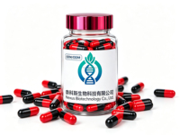 Capsules Naturelles Brûle-Graisses Rapides Personnalisées OEM ODM, Complément Minceur Détoxifiant pour Adultes, Fabricant de Marque Privée