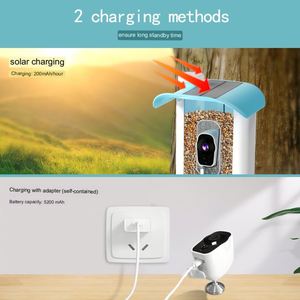 <strong>Newest</strong> Solar-Powered Hummingbird Smart Feeder Station Night Vision Low Power Two-Way Audio CMOS <strong>Network</strong> <strong>Camera</strong> Supporting Memory - Product Image 5