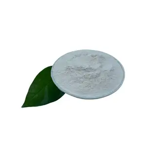 Yuedong Lipase Widely Used In Food Feed Pharmaceutical Cosmetics Wastewater Textile And Paper Making Lipase Enzyme