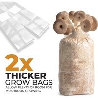 Sacs de culture de champignons extra épais 13x4x4 avec filtre de 0,2 m pour mycélium de seigle et substrat, pour le shopping ou les cadeaux