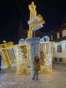 Lumières décoratives LED 3D en forme de boîte cadeau, étanches IP65 pour l'extérieur, pour Noël, les festivals et les célébrations. - Product Image 1