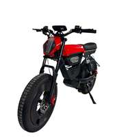 Sepeda Gunung Listrik 48V 1000W Mid Drive dengan Ban Tebal 20x4.0 dan Suspensi Ganda untuk Dewasa