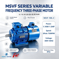 Moteur triphasé à fréquence variable MSVF à faible vibration 1,1 kW 1,5 kW 2,2 kW 3 kW 4 kW Longue durée de vie Spécifications complètes