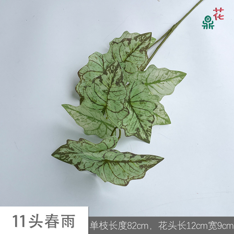 11 pluies printanières JH Green