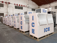 Congélateur d'extérieur pour glace, armoire réfrigérée industrielle grande capacité pour la conservation de la glace