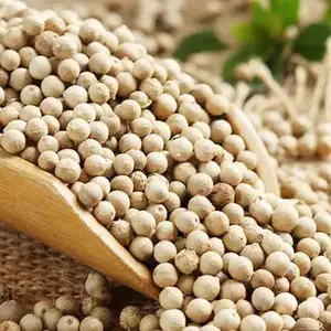 High Quality Single Spice Rich Fragrance White Pepper 100% Pure Natural White Pepper