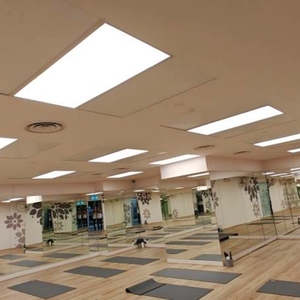 Panneau chauffant infrarouge lointain noir d'usine 750W pour studios de yoga <span class=keywords><strong>chaud</strong></span>, chauffage de salle 60*120cm, installation au plafond, panneau de yoga blanc - Product Image 5