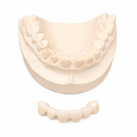 Modèle dentaire économique en zircone pour couronne, restauration métal-céramique, marque Ecolab, certifié ISO 9001 pour écoles de formation dentaire