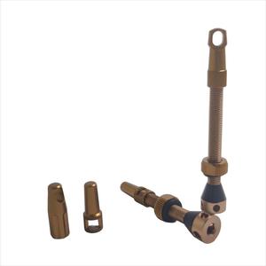 Valves Presta sans chambre à air en alliage d'aluminium, tige <span class=keywords><strong>de</strong></span> valve personnalisable, capuchon et écrou <span class=keywords><strong>de</strong></span> valve avec logo sur mesure - Product Image 1