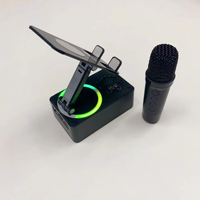 Vente en gros Mini haut-parleur karaoké sans fil portable microphone chant en plein air petite famille ktv