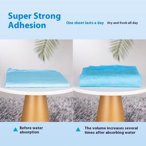 Cane e gatto per animali domestici forniture ispessite deodorante pannolino monouso impermeabile lenzuolo assorbente Non umido - Product Image 4