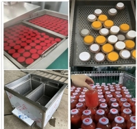 Petite machine de pasteurisation en acier inoxydable pour bouteilles de lait, vin, huile d'olive, jus et jus de tomate