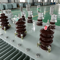 Transformateur de distribution immergé dans l'huile triphasé S20 à haut rendement énergétique 50-315 kVA 50 Hz/60 Hz IEC60076 Cuivre OEM