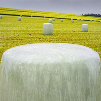 Film d'emballage pour ensilage soufflé en LLDPE résistant aux UV de qualité alimentaire Longxing Lx25 |   Film d'emballage pour balles de foin anti-humidité 25 microns 500 mm 1800 m Shandong
