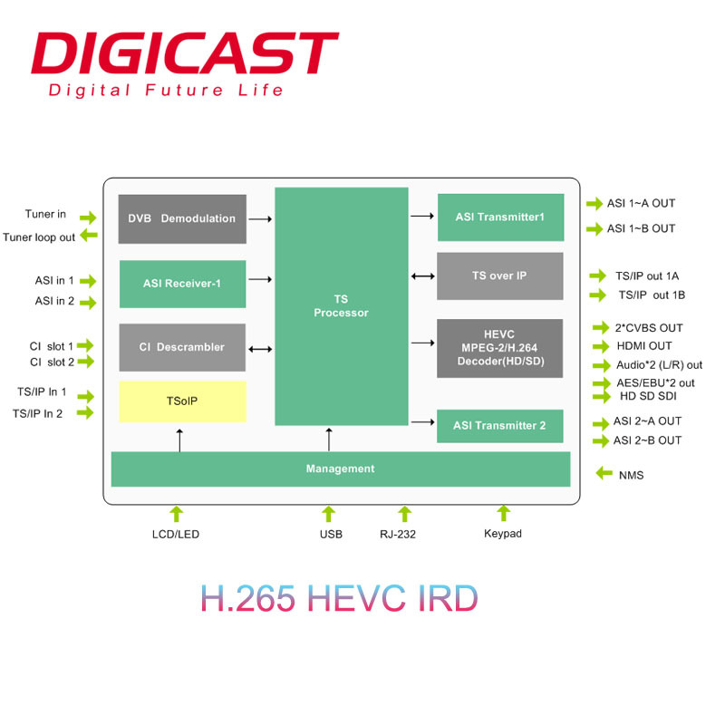 Digital Cable TV cabecera IRD, receptor de satélite DVB-S2 HD de descifrado de RF a HDMI me SDI ASI demodulador