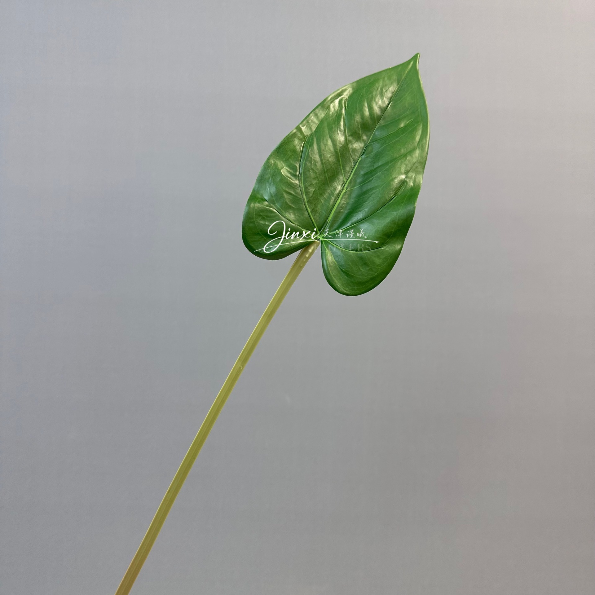 53 cm de feuilles d'anthurium rouge féerique