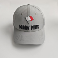 Casquette de baseball personnalisée avec logo de drapeau découpé au laser, respirante, perforée, structurée, pour les sports de plein air, gris clair, broderie 3D