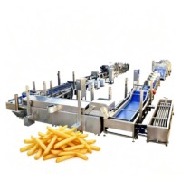 Complete fruit- en groenteverwerkingslijn voor het maken van frieten, chips en zetmeel, inclusief wassen, schillen, snijden en frituren