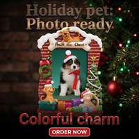 Lumière Chien & Chat Thème De Noël Cadre Photo