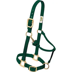 JINGBA Cheval Plastron Double LED de Cheval Harnais en Nylon Nuit Équipement  Visible équitation Cheval de Course Ceinture Equitation (Color : Blue) :  : Sports et Loisirs