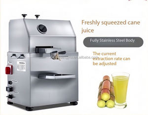 Commercial Electric Stainless Steel Cane <b>Juicer</b> <b>Machine</b> Vertical Benchtop Fresh <b>Fruit</b> <b>Vegetable</b> Juice Maker Plug-In Charging - Product Image 2