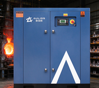 Compresseur d'air industriel à vis 30 kW 40 CV avec réservoir d'air 300 L – Performance stable pour usage en garage, livraison rapide, support technique