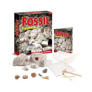 Do It Yourself Gips pulver Echte Fossilien Lernspiel zeug Kinder DIY Stiels pielzeug Graben Mega Fossils Dig Kit