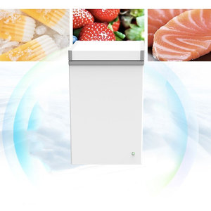 Congélateur <span class=keywords><strong>solaire</strong></span> Blue Carbon DC12V/24V, <span class=keywords><strong>réfrigérateur</strong></span> <span class=keywords><strong>solaire</strong></span>, <span class=keywords><strong>réfrigérateur</strong></span> <span class=keywords><strong>solaire</strong></span>, grand congélateur coffre DC, <span class=keywords><strong>meilleur</strong></span> prix 2025 - Product Image 4