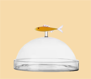 Frasco de Vidrio Transparente de Borosilicato Soplado a Mano con Tapa de Sardina, Soporte Decorativo para Pastel de Vidrio - Product Image 4