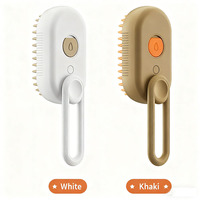 Nouvelle brosse de toilettage pour animaux de compagnie pliable 3 en 1 en silicone, autonettoyante, rechargeable, portable, avec pulvérisation d'eau et vapeur pour chats
