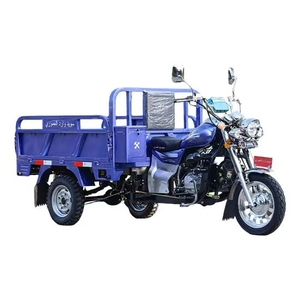 มอเตอร์ไซค์สามล้อ150cc/200ซีซี250cc - Product Image 6