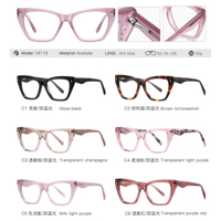 MS 18118 2026 Nouvelles lunettes œil-de-chat en acétate pour femmes, monture polie moulée, branches minimalistes, raffinées et polyvalentes, ODM/OEM