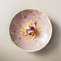 Assiette de table en céramique commerciale empilable, unifiée, tournée au four, en porcelaine rose et verte