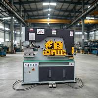 Machine de découpe et de poinçonnage hydraulique combinée pour tôles, prix usine